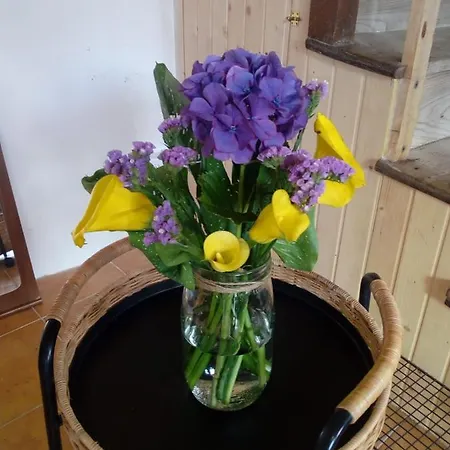 El Rinconin Del Sueve בקתה *