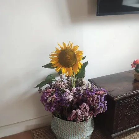 El Rinconin Del Sueve בקתה