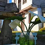 El Rinconin Del Sueve 木屋 San Martin de Valles